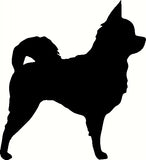 dog id tags with breed design