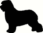 dog id tags with breed design