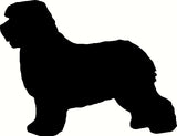 dog id tags with breed design