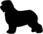 dog id tags with breed design
